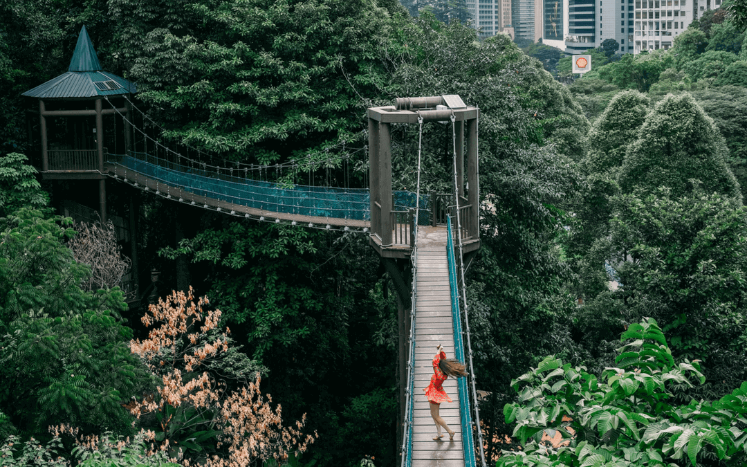 Trek through KL Forest Eco Park, one of Malaysia’s oldest permanent rainforest preserves.