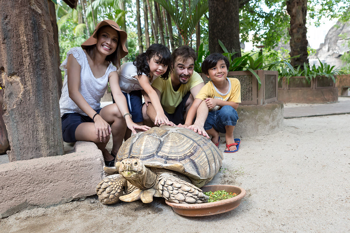 sunway lagoon wildlife park - pet village