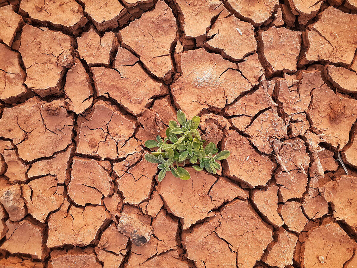 Changing the Agriculture Game with Sunway City Kuala Lumpur. Soil Erosion